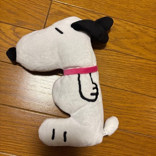 Sanrio winning lottery snoopy - winning,