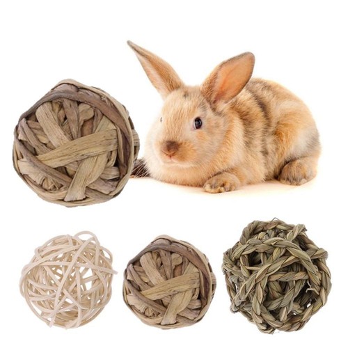 Pet balls rabbit toys - pc,