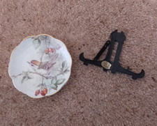 Polly-Anna Miniature Bone