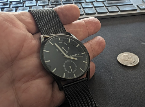 Skagen skw6318 holst - holst, men's