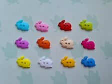 Colourful Rabbit Shaped