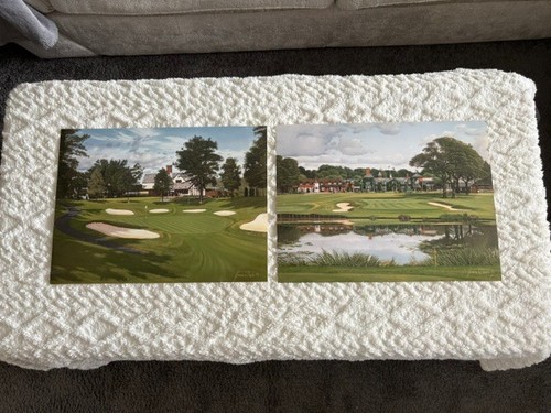 Ryder cup proof set graeme - cup,