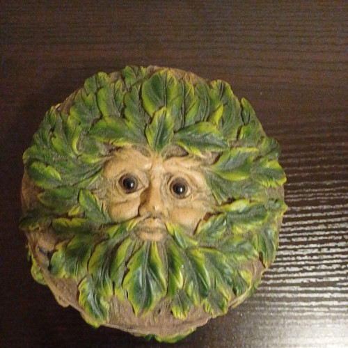 Whimsical old man tree face - whimsical,