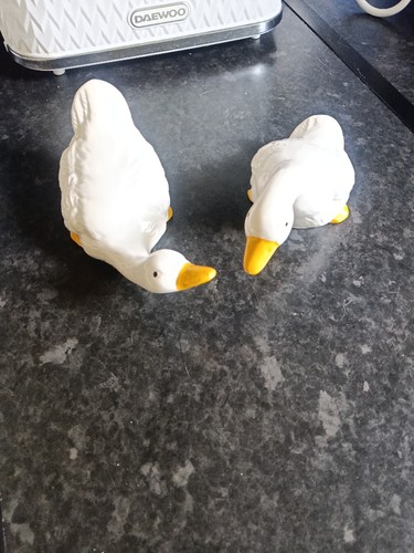Set ceramic duck goose - set,
