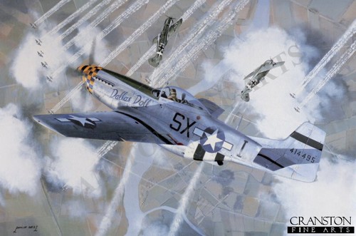 Mustang fighter aviation - mustang,