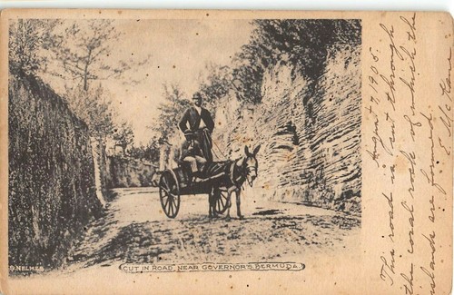 1905 boy driving cart - boy, cut