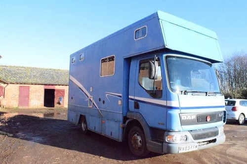 2003 daf horse - daf,