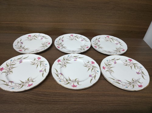 Six paragon side plates - paragon,