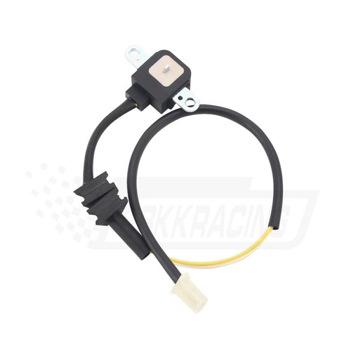 Sensor pulser pulsar - pulser, coil