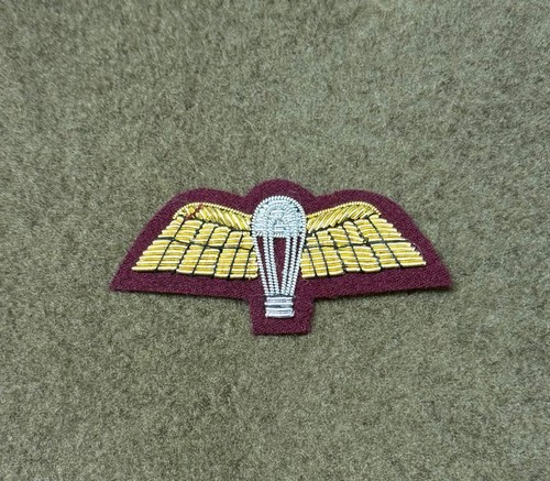 Para wings mess dress - para,