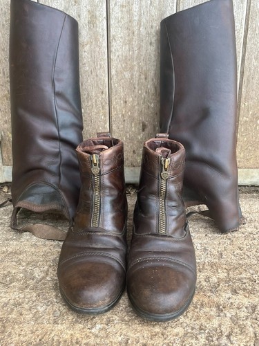 Ariat paddock boots - ariat, chaps