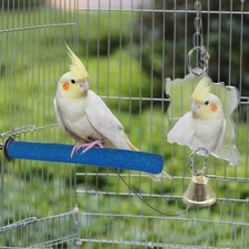 Bird Cage Parrot Supplies