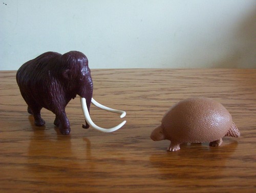British natural history - british,