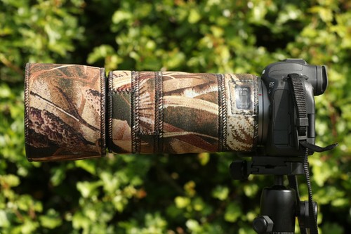 Canon 100 400 f8 - 100,