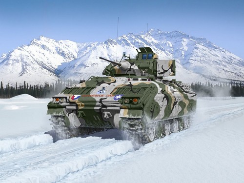 Icm scale m2 - m2, bradley