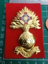 25th Battalion of The Legion