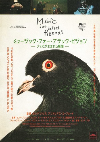 Music for black pigeons - for,