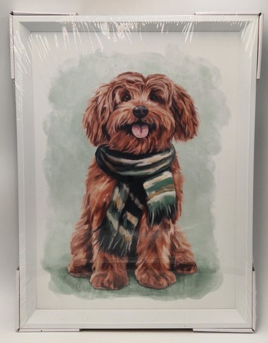 Next charlie cockapoo - charlie, dog