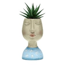 Pot Face Plant Planter Flower