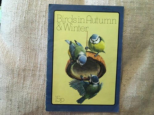 Birds autumn winter - autumn, &