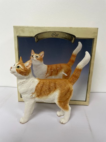 Leonardo ginger tabby white - &,