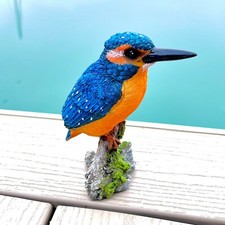 Kingfisher Bird Garden