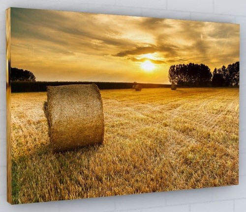 Stunning countryside hay - countryside,