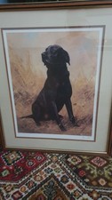Limited edition John Trickett Large Black Labrador Print Signed by the Author