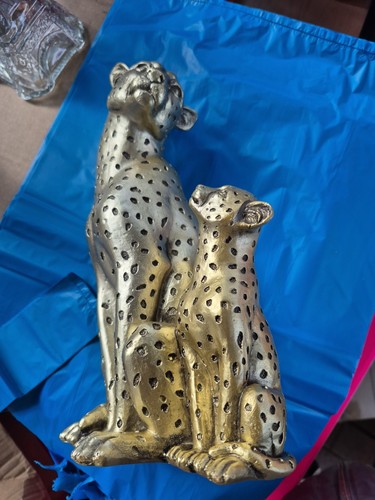 Gold cheetah and - cheetah,