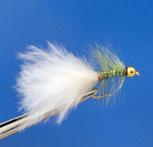 Goldhead olive dancer - 3, x