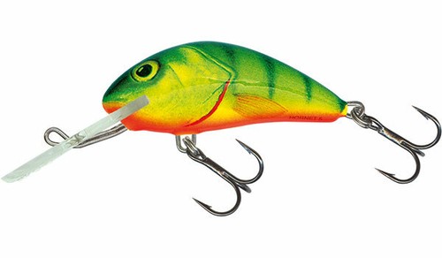 Salmo hornet sinking 4cm - hornet, *pay