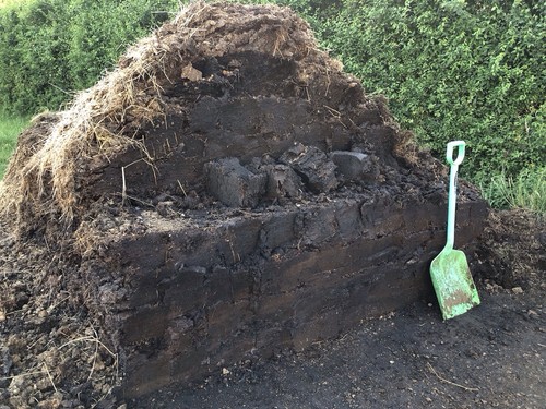 Well rotted horse manure - rotted,