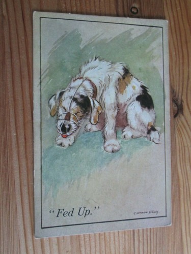 Postcard dog wearing muzzle - dog,