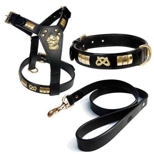 Staffordshire bull terrier - terrier, dog