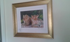 TIGERS ,STEPHEN GAYFORD  PRINT 'LAZY AFTERNOON'' 17 X14.5" LTD EDITION 278 /1100