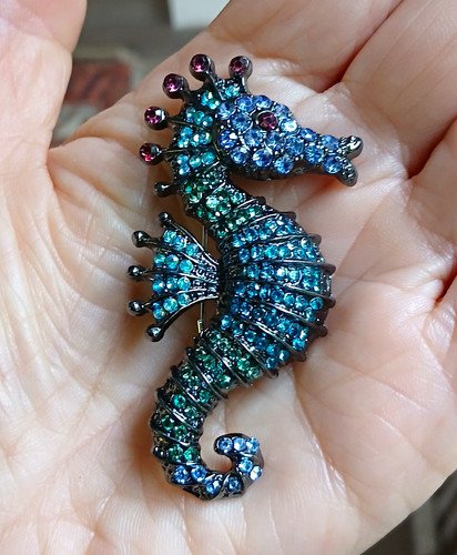 Blue green purple - blue, seahorse