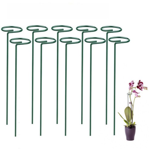 Tall plant support - tall,