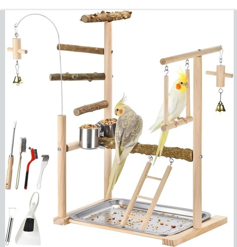 Natural wood parrot play - natural,