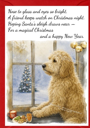 Golden doodle labradoodle dog - golden,