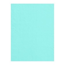 LACY CHIFFON SCOOP NECK