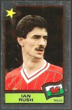 PANINI FOOTBALL SUPERSTARS