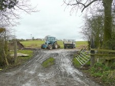 Photo 6x4 Turf harvesting