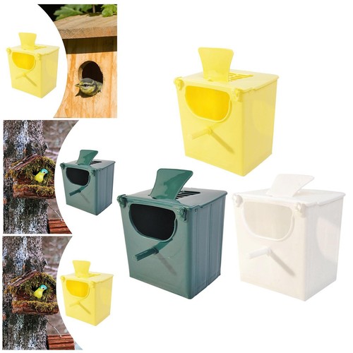 Bird breeding nest box stable - bird,