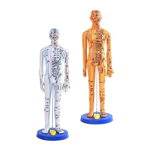 Chinese medical acupuncture - chinese,
