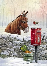 RAF Donkey & Robin Christmas Cards 10 Pack - Sold in Aid of the RAF Association