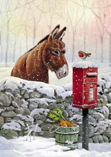 Raf donkey robin christmas - raf,