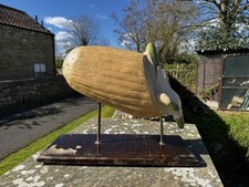 Vintage Botanical Diadactic model of  A Sprouting Grain Of Wheat Rye