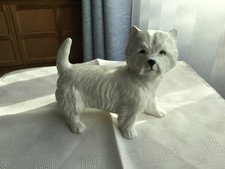 Westie West Highland White