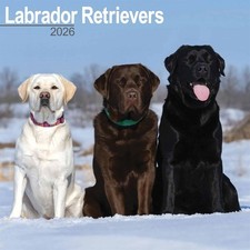 Labrador Retrievers Calendar