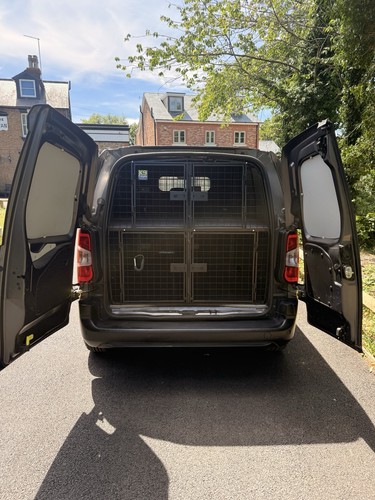 Dog walking van - dog, 2020